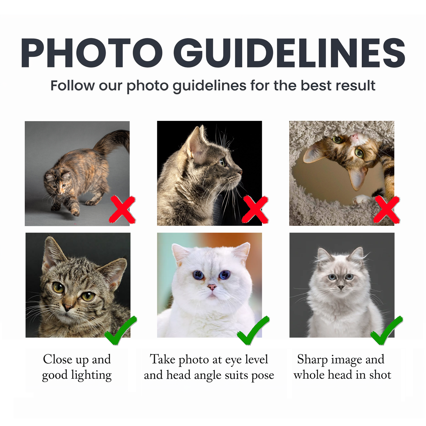 Photo guidelines for custom pet photo mug showing tips for best results and quality images