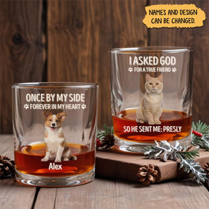 personalized pet memorial whiskey glass set with two glasses showing dog and cat portraits and names