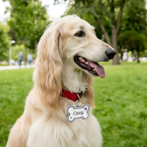 Personalized dog ID tag in silver with name Casey, perfect for pet identification