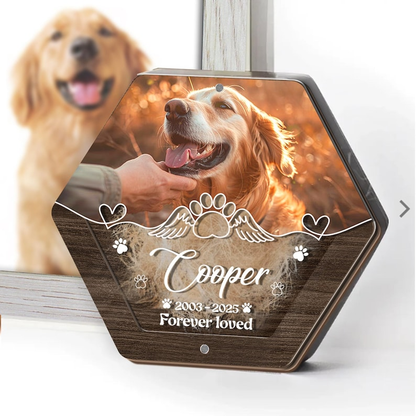 Personalized 6-Layer Pet Fur Keepsake - Pet Lover