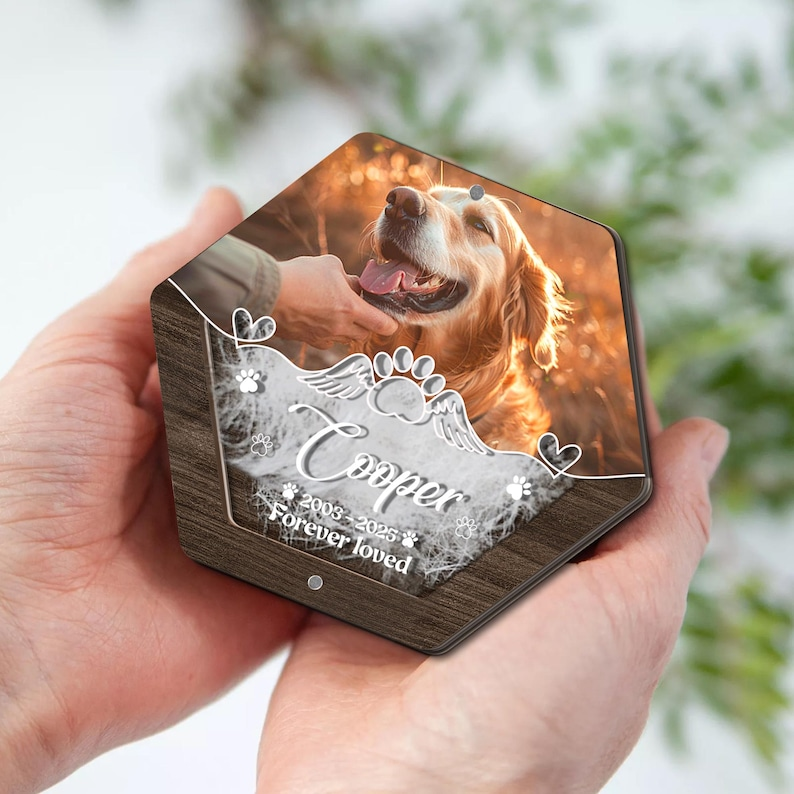 Personalized 6-Layer Pet Fur Keepsake - Pet Lover