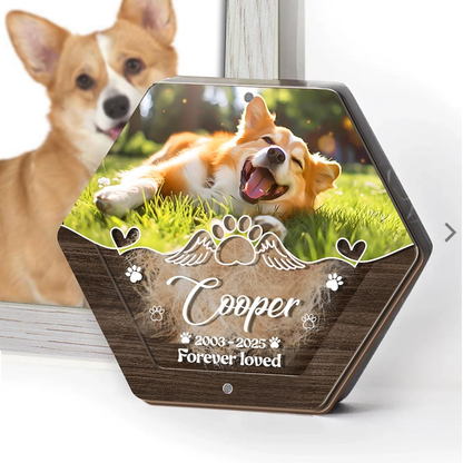 Personalized 6-Layer Pet Fur Keepsake - Pet Lover