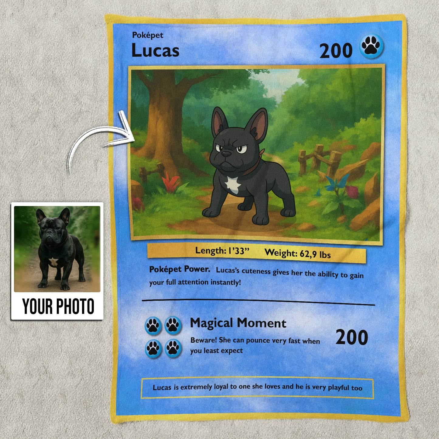 Custom photo pet blanket gift featuring a personalized Pokepet design with a dog illustration