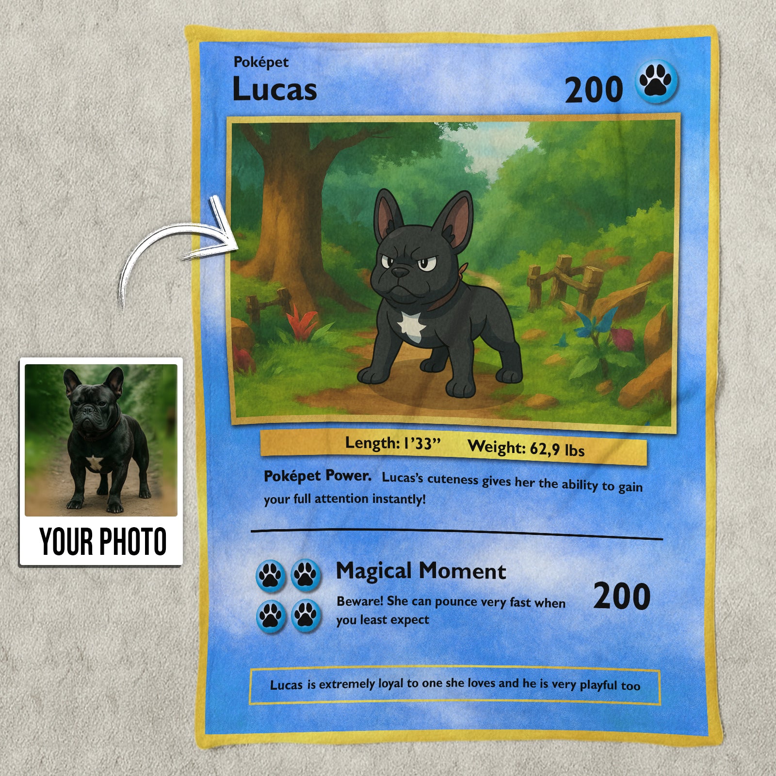Custom photo pet blanket gift featuring a personalized Pokepet design with a dog illustration