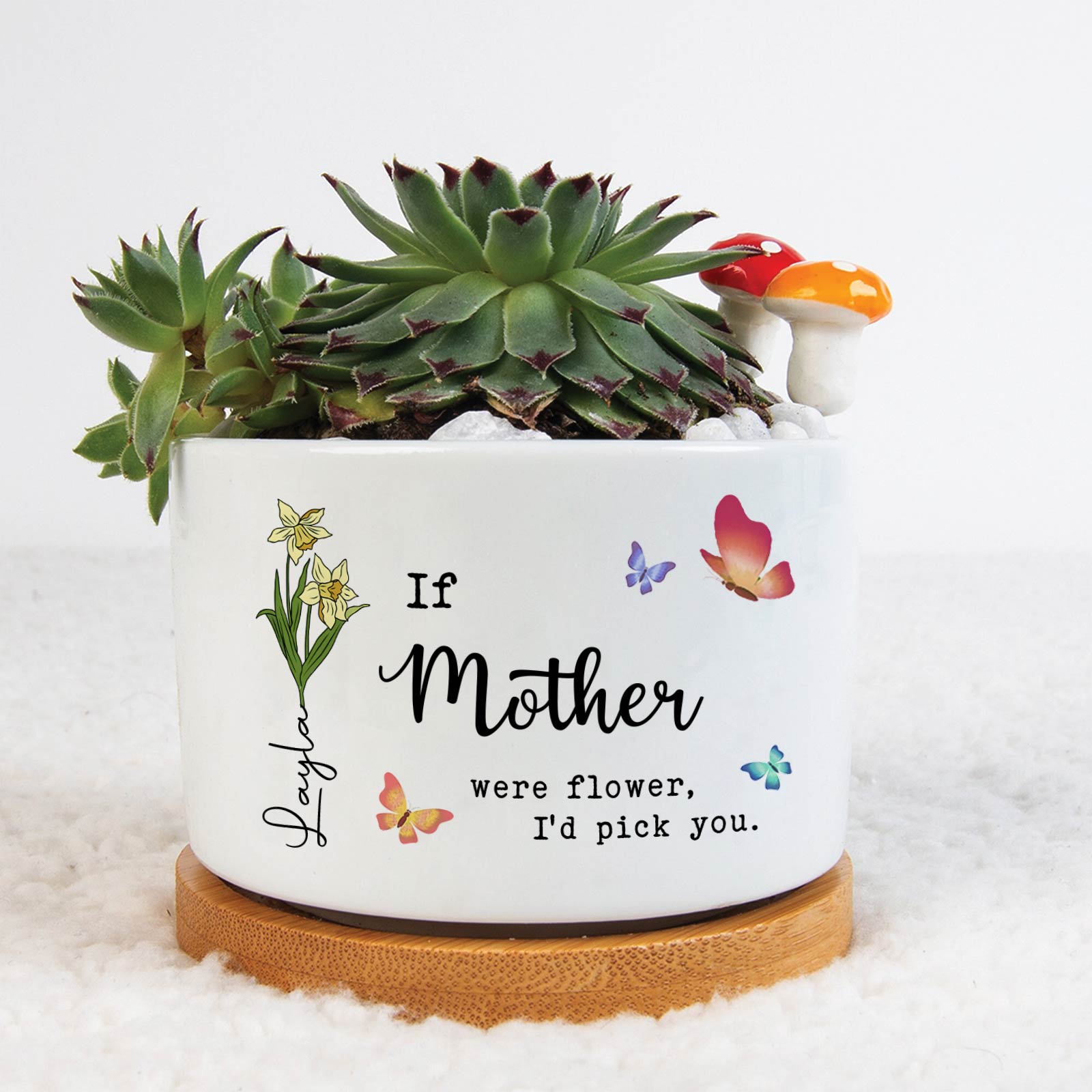 Personalized mother plant pot with succulents and decorative butterflies and text for a unique gift