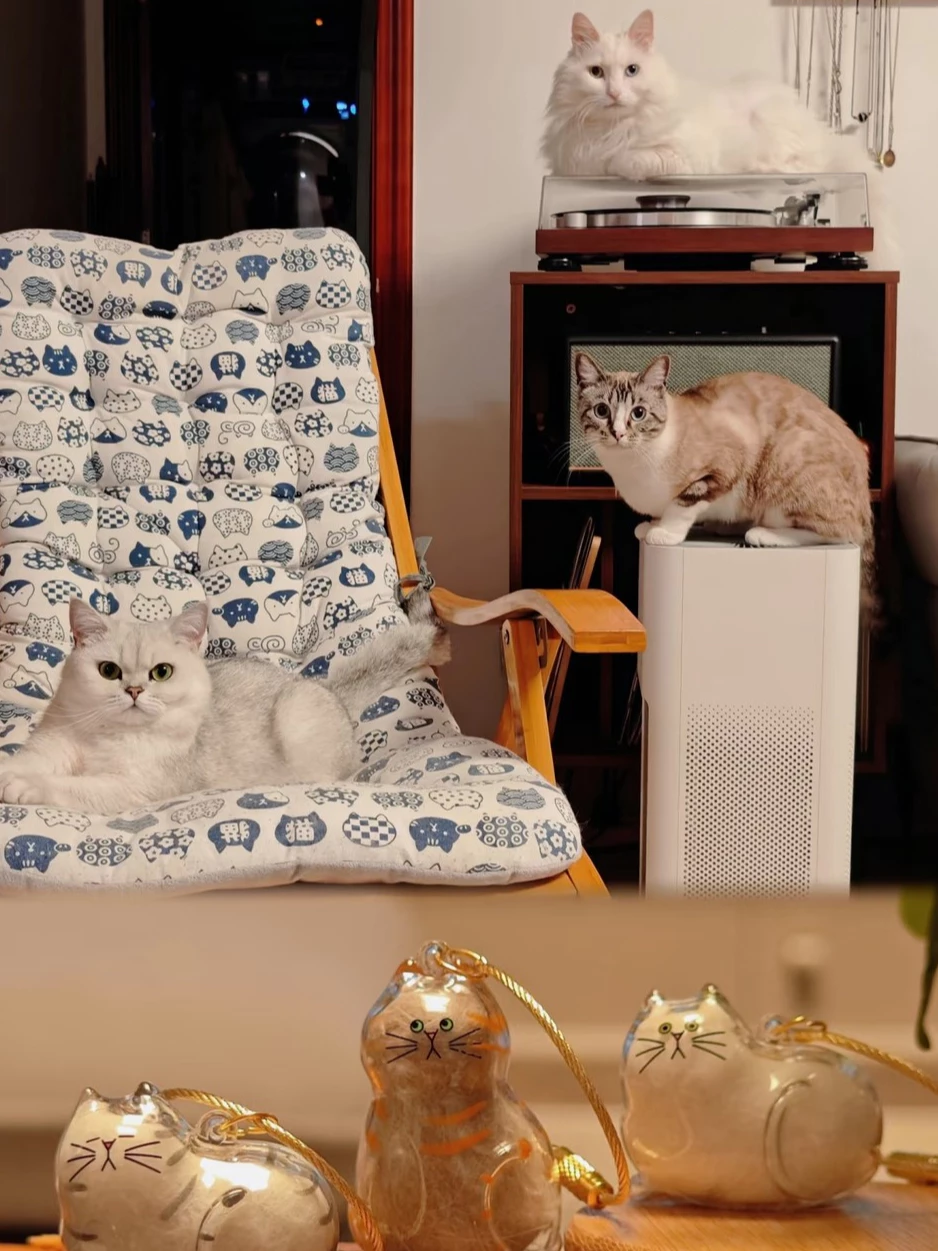 Three cats with personalized pet keepsake gifts displayed in a cozy home setting